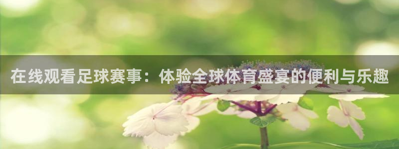 在线观看足球赛事：体验全球体育盛宴的便利与乐趣