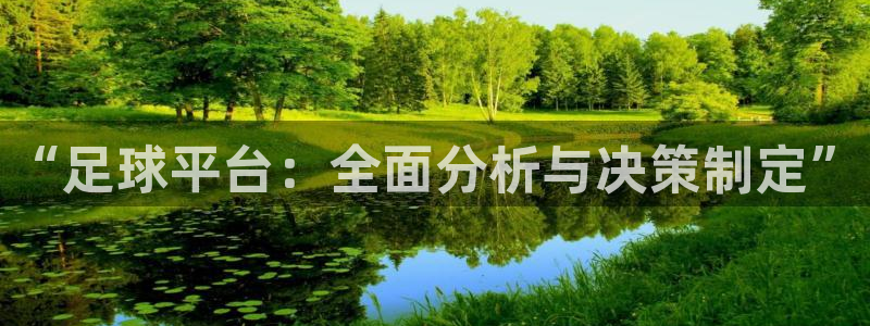“足球平台：全面分析与决策制定”
