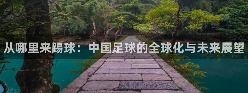 从哪里来踢球：中国足球的全球化与未来展望